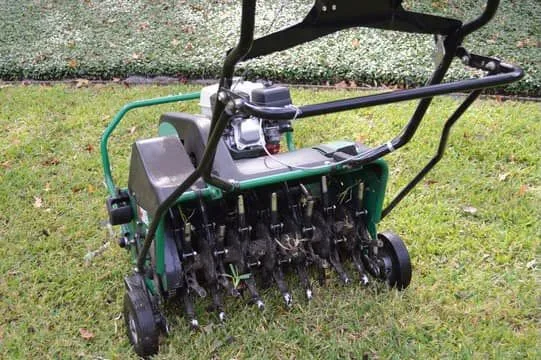 Aeration & Seeding