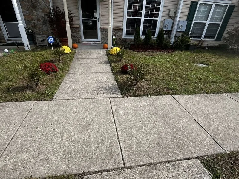 Ground Cover Installation