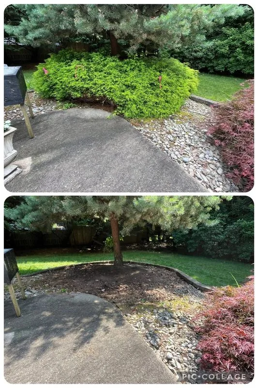 Landscape Design