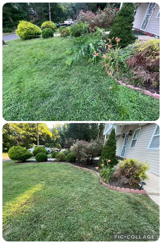 Professional lawn care before and after