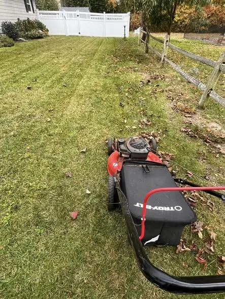 Lawn Treatments