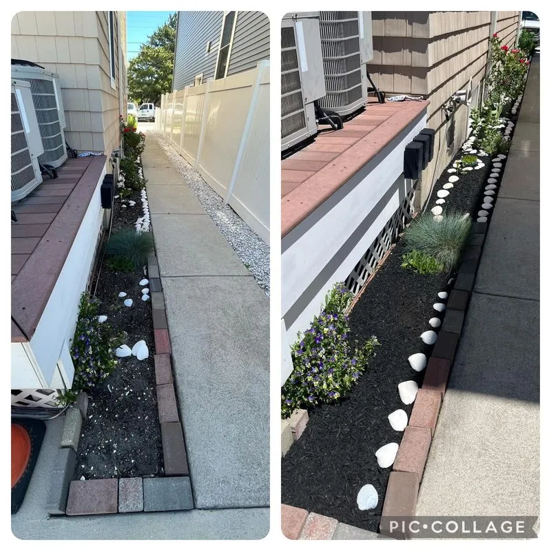 Flower & Plant Install