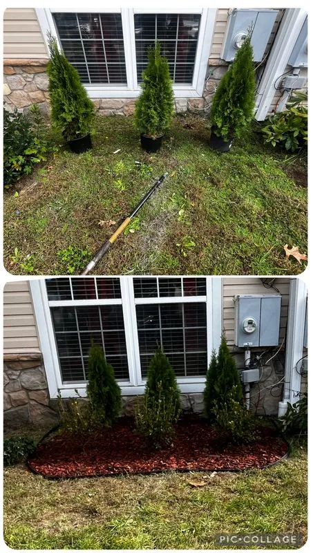 Landscaping before and after