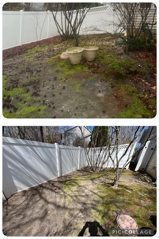 Property cleanup before and after